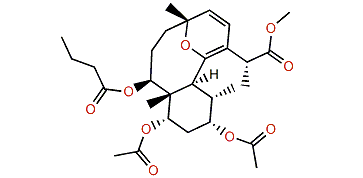 Briareolate ester H